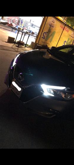 نيسان ماكسيما